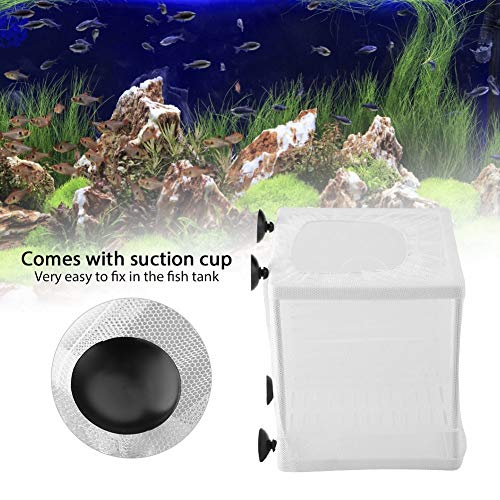 Fish Breeder, Large Breeder Net with Suction Cups, Nylon Mesh Fish Fry Hatchery Isolation Box Separation Net for Fish, Plants, Shrimp on Aquarium Tank, 6.2 x 6.2 x 5.5in