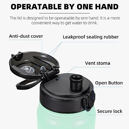 Fanhaw 32 oz Insulated Stainless Steel Water Bottle with Anti-Dust Chug Lid, Leakproof Vacuum Sports Bottle for Kids, Teens & Adults, Back to School Essentials (Green Pink) - color: Green Pink, style: 32 Ounces