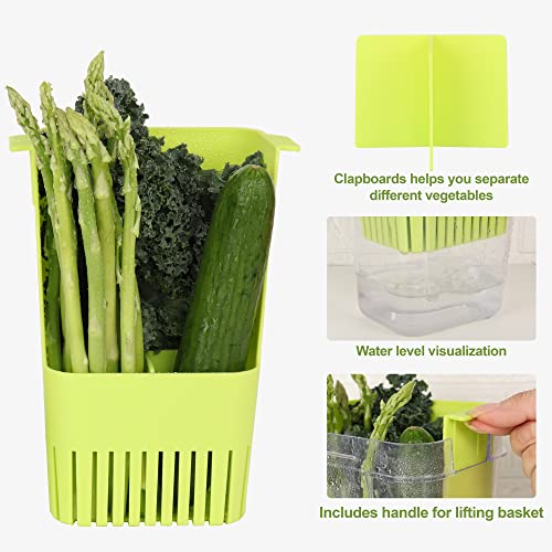 LUVCOSY 2 Pack Herb Keeper, BPA-Free Plastic Herb Saver with an Inner Basket for Cilantro, Mint, Parsley, and Asparagus, Keeps Fresh Herbs for 3 Times Longer - color: Herb Keeper - Green & Blue