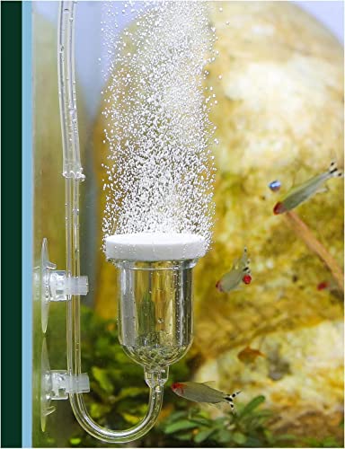 boxtech Aquarium Air Stone, Fish Tank Bubble Diffuser High Dissolved Oxygen Airstones for Air Pump Accessoriess with 1 Check Valve, 2 Suction Cup for Aquarium Pond Hydroponic - size: 1.4 inch