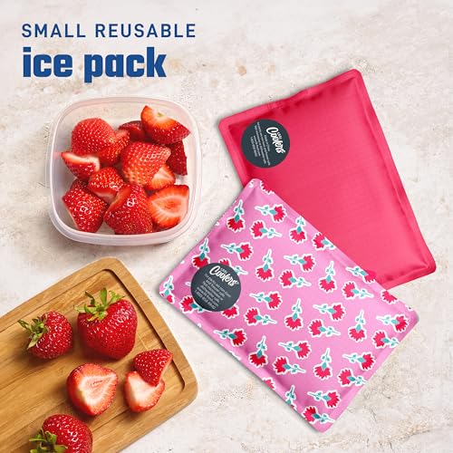 Fit & Fresh Cool Coolers Soft Ice for Lunch Bags 2pk, Flexible Stretch Nylon, Durable, Reusable Lunch Box Ice Packs, Soft Ice, Reusable Freezer Packs, Lunch Ice, Sweet Pink Block Print - color: Sweet Pink Print (2 Pack), size: Standard