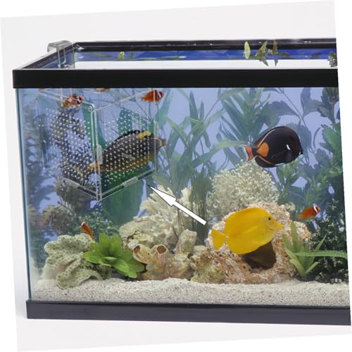 Toddmomy 1set Fish Tank Isolation Box Cups and Hook Acrylic Breeding Holder for Safe Fish Separation Design for Easy Installation and Cleaning