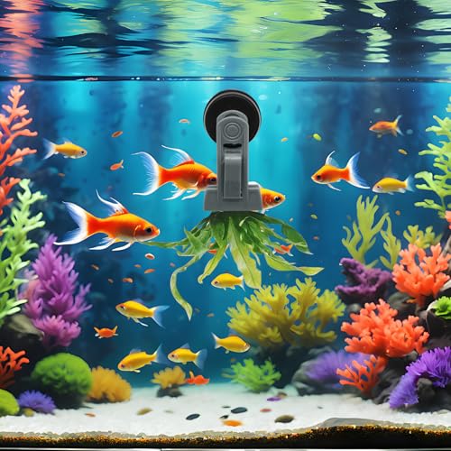 Magnetic Seaweed Feeder Clip, Saltwater Fish Aquarium Accessories Supplies Algae Magnet Seaweed Feeder Magnetic Clips,Goldfish Fish Tank Feeding Ring Suitable for Aquatic Pets - color: 1Pcs