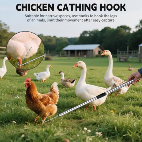 Chicken Net Catcher 3 in 1 Kit with 2 Foldable Nets & Leg Hook Replaceable | Adjustable from 32" to 76" with Thickened Pole丨Humanely Captures for Chicken,Fish,Poultry,Cats,Birds and Animals