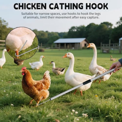 Chicken Net Catcher 3 in 1 Kit with 2 Foldable Nets & Leg Hook Replaceable | Adjustable from 32" to 76" with Thickened Pole丨Humanely Captures for Chicken,Fish,Poultry,Cats,Birds and Animals