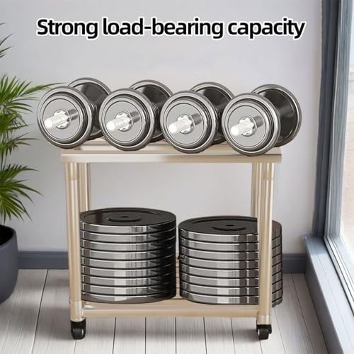 2-Tier Aquarium Stand With Breeder Tank Shelves, Reptile Turtle Terrarium Shelf, Stainless Steel Tubing, Balcony Flower Shelf, Brake Wheels.(70*30*60cm) - size: 70*30*60cm