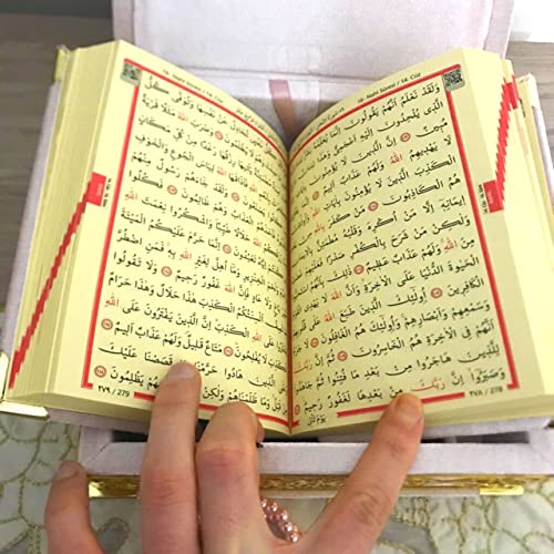 Velvet Covered Quran and Pearl Tasbih in Wooden Decorative Box | Gift Islamic Set Birthday, Wedding Muslim Eid Ramadan (Pink) - color: Pink