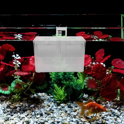 Fish Breeding Box with Hook and Suction Cup Aquarium Fry Incubator Isolation Hatchery for Tropical Fish for Spawning and Nursery