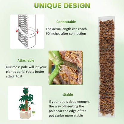 EOX 2 Pcs 48 Inch Plastic Moss Pole for Monstera, Large D Shaped Poles for Climbing Plants Work with Sphagnum Moss, 94 Inch Plant Stake Set of 2, Garden Ties - size: 2 PACK-48Inch-no moss included
