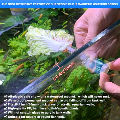Magnetic Seaweed Fish Feeding Clip Saltwater Aquariums Magnet Veggie Feeder clamp Fish Accessories —Patented Product(4pcs Magnetic Veggie Clip) - size: 4pcs magnetic veggie clip