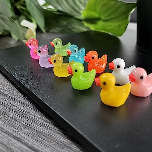 Cidinge 100pcs Mini Luminous Ducks & Resin Ducks for Micro Garden & Dollhouse Decor - style: 50pcs Resin Duck and 50pcs Luminous Duck
