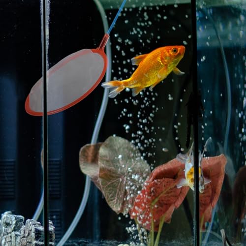 GALPADA 10pcs Aquarium Fish Landing Nets Small Fine Mesh Fish Tank Net Portable Fishing Gear for Outdoor Catching and Aquarium Cleaning Random Color