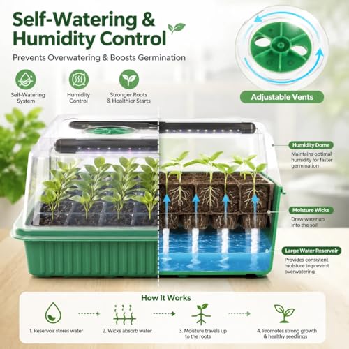 Seed Starter Tray with Timed Grow Light, 2 Pack 80 Cells Plant Starter Tray Seedling Starter Kit with Humidity Domes Base Indoor Mini Greenhouse Plant Germination Trays for Seeds Growing Starting