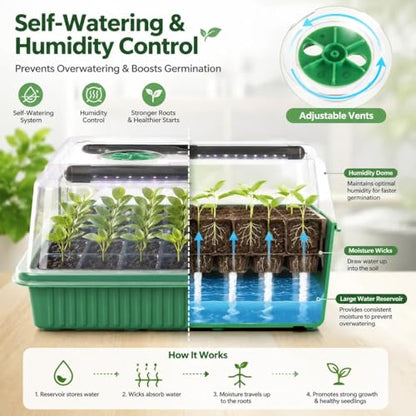 Seed Starter Tray with Timed Grow Light, 2 Pack 80 Cells Plant Starter Tray Seedling Starter Kit with Humidity Domes Base Indoor Mini Greenhouse Plant Germination Trays for Seeds Growing Starting