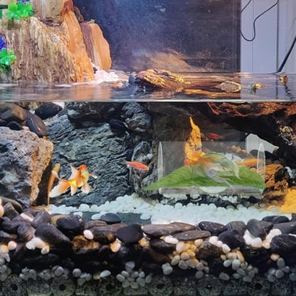 WishLotus Betta Fish Tube Tunnel, Transparent Acrylic Betta Fish Accessories with Suction Cups, Betta Fish Toys Hideout Tube for Small Fish Shrimp (Transparent)