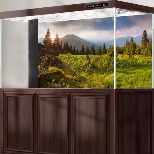 Sunrise Mountain Landscape Aquarium Background Lush Green Wild Meadow Plants Pine Trees Fish Tank Background Misty Foggy Cloudy Blue Sky Mountain Ridge Reptile Tank Terrarium Backgrounds 30x12in - color: Green, size: 30(W)x12(H)in