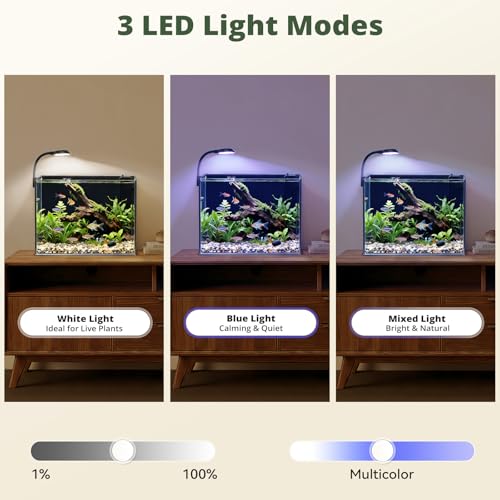 2.5 Gallon Small Fish Tank, Nano Aquarium with Ultra-Clear Glass, LED Light, Filter, Lid, Gravel and Rock, Desktop Beta Fish Aquarium Perfect for Shrimp, Snails or Live Plants