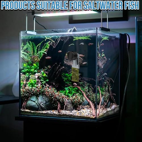 Magnetic Seaweed Feeder Clip, Saltwater Fish Aquarium Accessories Supplies Algae Magnet Seaweed Feeder Magnetic Clips,Goldfish Fish Tank Feeding Ring Suitable for Aquatic Pets - color: 1Pcs