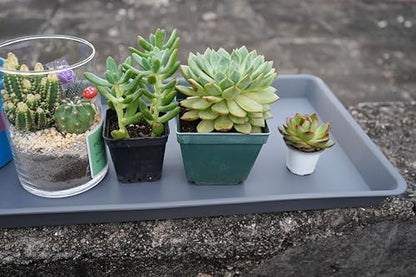 VUWEZ Rectangle Plant Tray, Plant Drip Tray, Plant Pot Saucers, Plant Germination Trays, Plant Saucers, 14.5'' x 11'' x 1.5'' (2 pack), Gray - color: Gray, size: 14.5'' x 11'' x 1.5'' (2 pack)