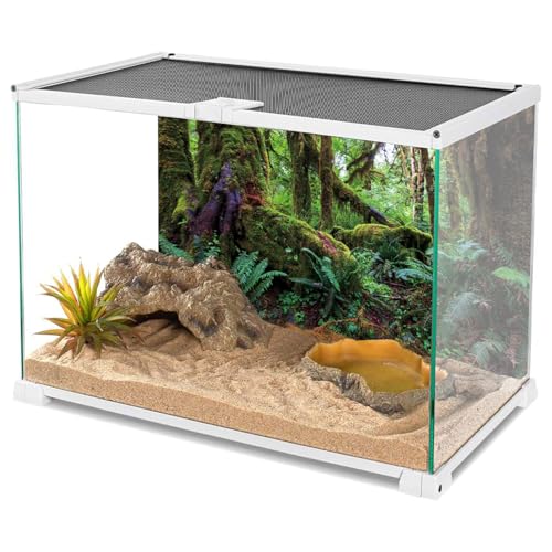 72x18 in Terrarium Backdrop Rainforest Moss Tree Reptile Habitat Background | AWERT Green Tropical Forest Polyester Aquarium Background - size: 72x18in/180x45cm
