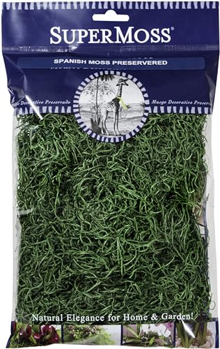 SuperMoss (26903) Preserved Spanish Moss – Decorative Moss for Crafts, Potted Plants, Fairy Gardens, Vase Filler, Floral Arrangements & Indoor/Outdoor Garden Projects, 120 cu in, Hunter