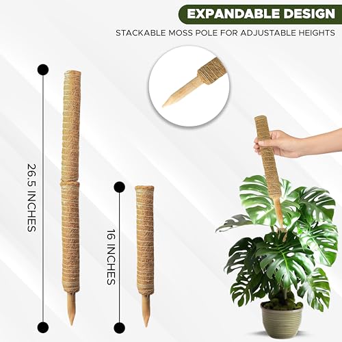 EcoNour 26.5" (2 Pack -16") Stackable Moss Pole for Monstera Plant Support | Moss Pole Sticks for Indoor Plants | Bamboo Plant Stakes,Climbing,Potted,Pothos| Philodendron & Creepers with Tie Accessory - size: 16 Inches - (2 PCS)