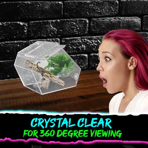 Coffin Shaped Jumping Spider Enclosure 9.5”x7.5”x5” Tarantula Enclosure Reptile Terrarium w/Sliding Magnetic Door. Great Reptile Tank Acrylic Aquarium Spider Box for Terrestrial or Arboreal Animal. - size: Coffin Jumping Spider Enclosure 9.5"x7.5"x5"