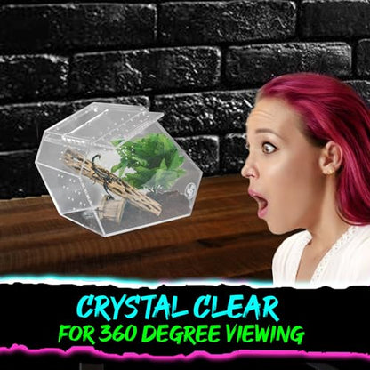 Coffin Shaped Jumping Spider Enclosure 9.5”x7.5”x5” Tarantula Enclosure Reptile Terrarium w/Sliding Magnetic Door. Great Reptile Tank Acrylic Aquarium Spider Box for Terrestrial or Arboreal Animal. - size: Coffin Jumping Spider Enclosure 9.5"x7.5"x5"