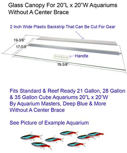 Glass Canopy for Aquariums with and Without Center Braces, 10 Gallon to 200 Gallon Aquariums (Tank Without Center Brace, 20" L x 20" W) - size: 20"L x 20"W