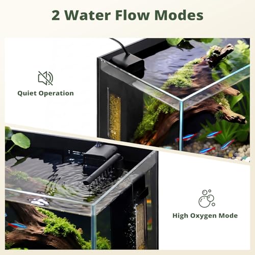2.5 Gallon Small Fish Tank, Nano Aquarium with Ultra-Clear Glass, LED Light, Filter, Lid, Gravel and Rock, Desktop Beta Fish Aquarium Perfect for Shrimp, Snails or Live Plants