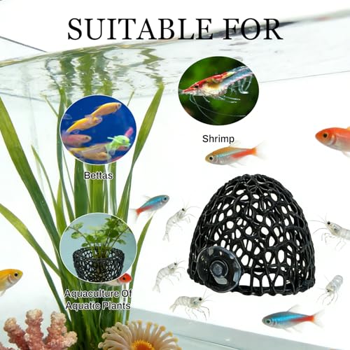 Shrimp Cave with Suction Cup | Stable Resting Hiding Place for Cherry & Dwarf Shrimp, Guppy, Small Fish (black) - color: black