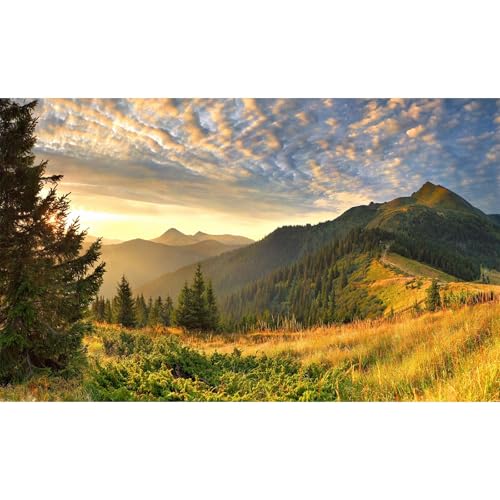 Sunset Mountain Landscape Aquarium Background Panoramic Mountain Valley Fish Tank Background Majestic Cloudy Blue Sky Pine Forest Terrarium Backgrounds Foggy Woodland Reptile Tank Backgrounds 24x12in - color: Brown_Green, size: 24(W)x12(H)in