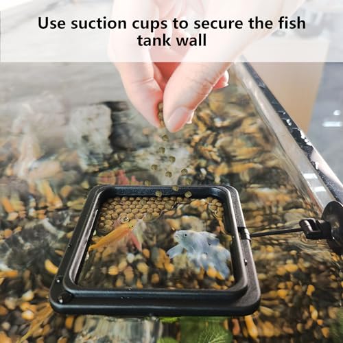 FREESEA Fish Feeding Ring for Aquarium: Square Betta Floating Feeding Ring for Fish Tank - size: Square