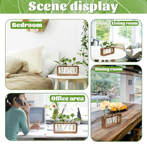 Glass Plant Propagation Station with 5 Test Tubes Planter Vase with Wooden | Stand Birthday Gifts for Women Mom Plant Lovers