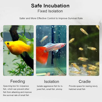 Fish Breeding Box, Transparent Acrylic Fish Isolation Box with Isolation Board, Fish Separator for Aquarium Fish Breeding, Shrimp Clownfish Guppy (30CM*10CM*10CM) - size: 30CM*10CM*10CM