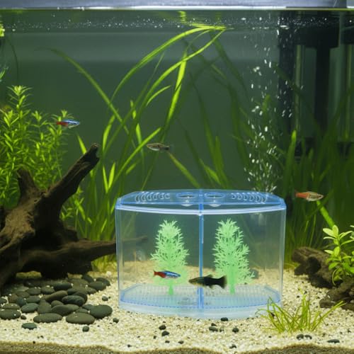Mini Fish Breeding Box Acrylic Isolation Tank with Dirt Groove for Aquarium Fish Observation and Protection (Double) - size: Double