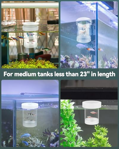 Pawfly Breeder Box for Fish Tank, Aquarium Fish Breeding Box, Floating Guppy Breeder Box, Baby Fish Separator for Aquarium, Plastic Hatchery Incubator Isolation Box for Shrimp Betta Clownfish, Medium - size: Medium