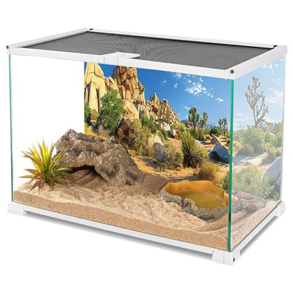 AWERT 30x18 inches Reptile Habitat Background Stone Blue Sky Oasis Cactus Sun and Desert Terrarium Background Polyester Background - size: 30x18in/75x45cm
