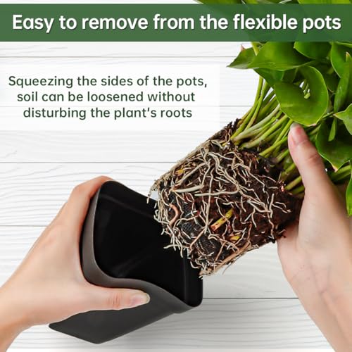BTPLASTIK Small Plant Pots 3.5 Inch, 120 Pcs Nursery Pots with Drainage Holes, Durable Plastic Succulents Pots for Seedlings, Cuttings (Black) - color: Black, size: 3.5 Inch-120P