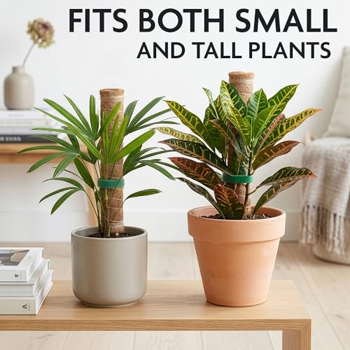 2 Pcs Moss Sticks for Indoor Plants Climbing with Coconut Fiber and Plant Tie Tape - 15.75 Inch Stackable Small Moss Pole for Monstera, Pothos, Philodendron, Money Plants & Indoor Houseplant Vines