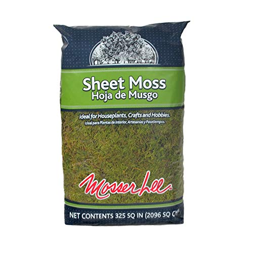 Mosser Lee ML0460 Natural Green Sheet Moss – 325 sq. in. – Organic Decorative Moss for Terrariums, Planters, Crafts & Moisture Retention - style: 325 Sqaure Inch