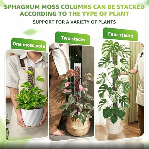 Sisher 6 Pcs Monstera Moss Pole,Plastic Moss Poles for Climbing Plants | Work With Sphagnum Moss,16'' Plant Support For Indoor Climbing Support,Garden Ties - size: 6 PACK
