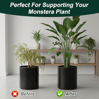 5 Pack Stackable Plant Support Stakes Monstera Plants Support Vine Plant Sticks Stakes with Plants Clips Ties Pothos Climber Supports for Indoor Outdoor Vine Orchid Perfect Moss Pole Replacement