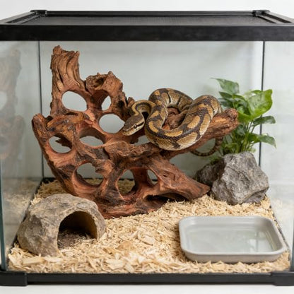 emours Porous Natural Driftwood for Aquarium, Aquascaping Driftwood with Holes, Hand-Selected Tunnels & Hideouts, Aquascaping Hardscape, Terrarium Reptile Décor, No Paint or Resin (16-20" (40-50 cm)) - size: 16-20" (40-50 cm)