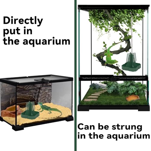 Chameleon Feeder Bearded Dragon Feeder for Mounted Insect（Medium） | Plastic,Anti-Escape,Crested Gecko Tank Accessories,with Rope and Tweezers,for Lizard Bearded Dragon Gecko Frog - size: Medium