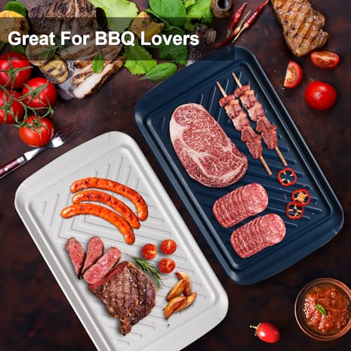 LEHAHA Grilling Prep and Serve Trays, Melamine BBQ Tray for Raw and Cooked Food, Food Serving Platter and plate for Outdoor Party,Large Melamine Serving Platter, Set of 2, 17.2 x 10.5'',Blue and White - color: Blue and White
