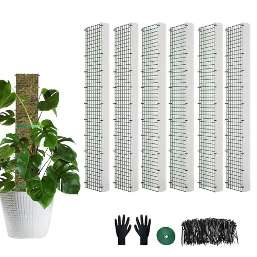 60"/40"/24" Metal Moss Pole, D Shape Sphagnum Moss Pole, Moss Poles for Climbing Plants, Monstera, Indoor Climbing Plants (6Pcs 24") - style: 6Pcs 24"