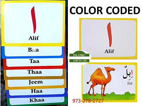 Arabic Alphabet Flash Cards (English and Arabic Edition) Arabic English Alphabets Flash Cards-Alif Ba Taa.. Arabic Alphabets Islamic Learning Ramadan Gift Holy Quran Eid Gifts-Islamic Gifts 123