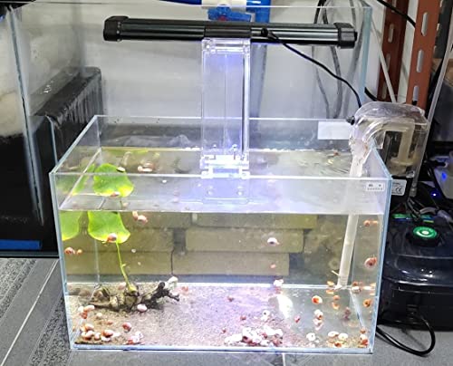 AWXZOM Small Nano Rimless Tank, Clear Glass Fish Tank, 1.1 Gallon, 7.8x5.5x5.9inch/20x14x15cm, Betta Fish Tank - size: 1.1Gallon 7.8x5.5x5.9inch/20x14x15cm