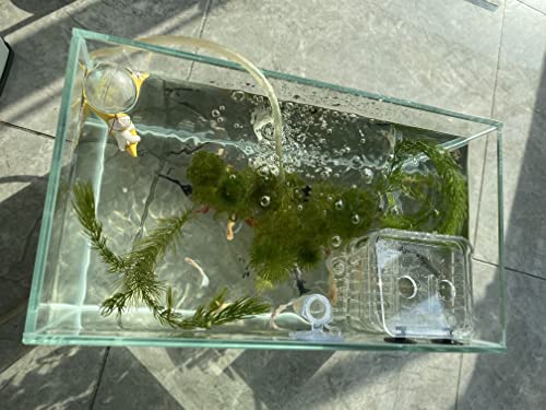 AWXZOM Small Nano Tall Rimless Tank, Glass Fish Tank, Betta Fish Tank, Aquarium (2.85 Gal, 11.8x6.7x7.8 inch) - size: 2.85 Gallon 11.8x6.7x7.8inch/30x17x20cm